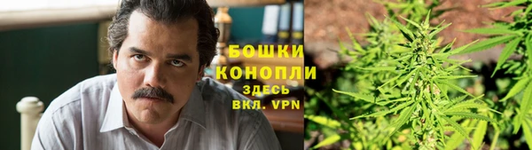 индика Навашино
