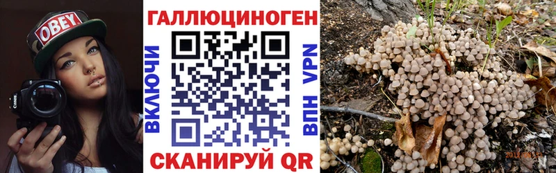 как найти закладки  KRAKEN как войти  Псилоцибиновые грибы MAGIC MUSHROOMS  Фокино 